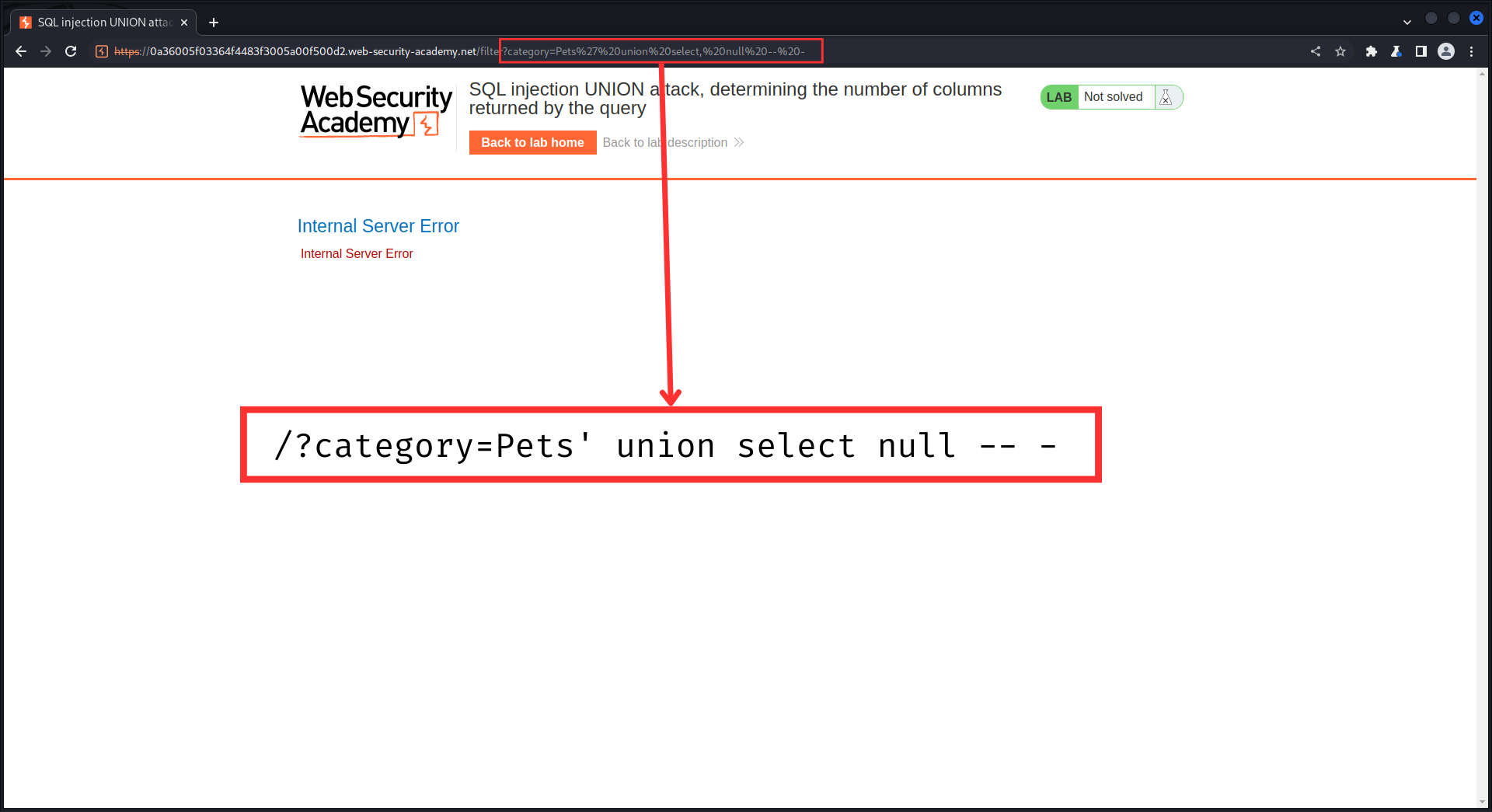 Znajdowanie liczby zwracanych kolumn - błąd
